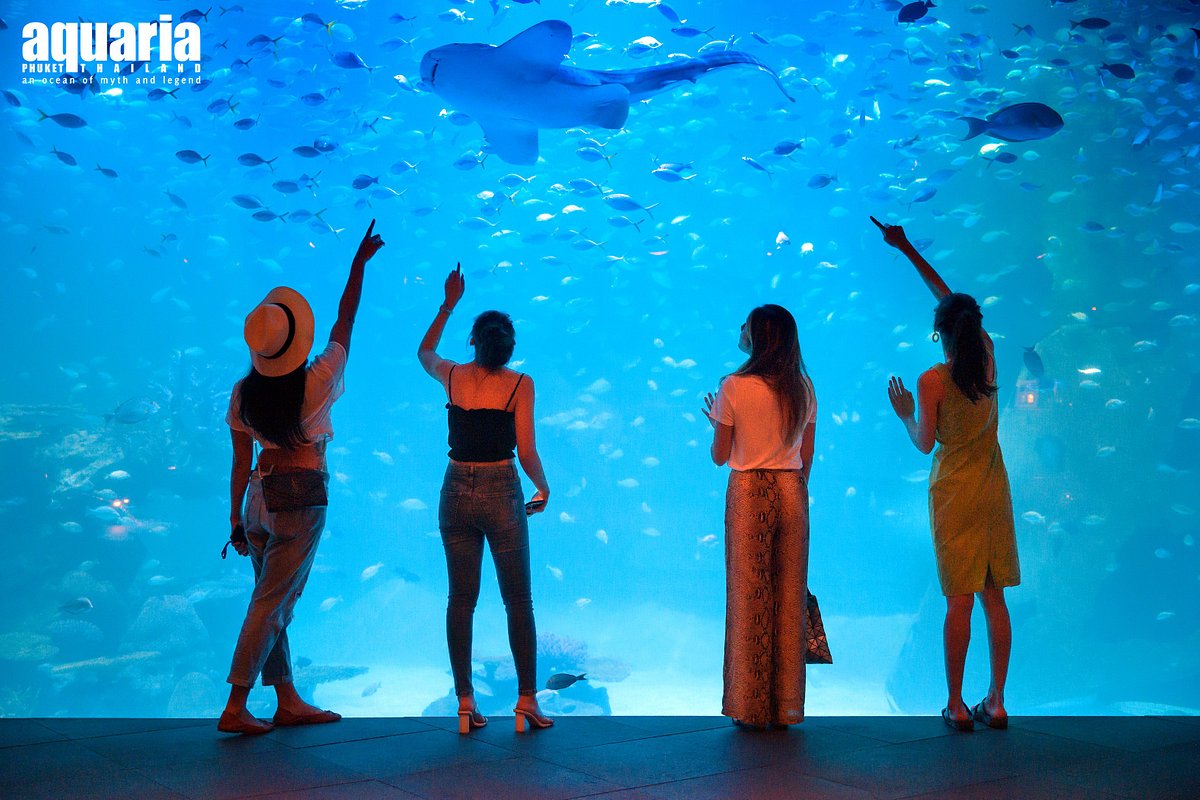 Aquaria Phuket - Non Thai Resident