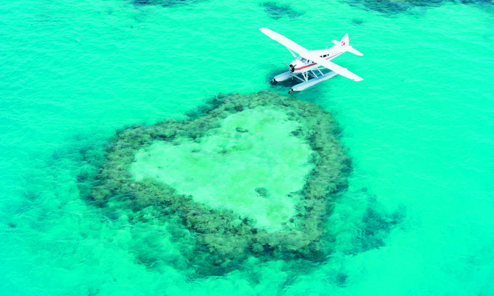 Island Explorer