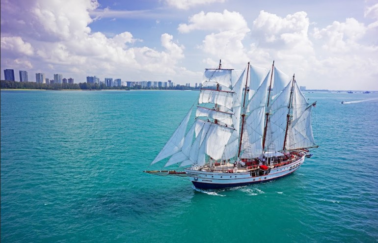 Royal Albatross Breakfast Cruise
