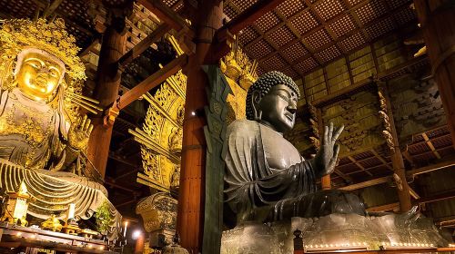Osaka Mount Ikoma Sky Bike + Nara in-depth fun one-day tour