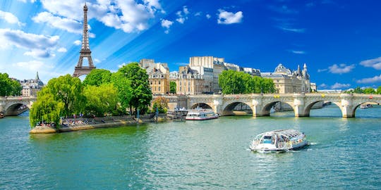 Sightseeing Cruise on the Seine