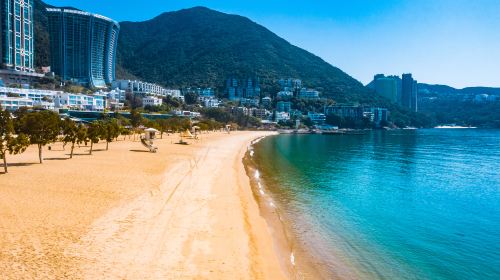 “Eileen Chang's Repulse Bay: Love, Upheaval, and the Beauty of Fragility” Exhibition