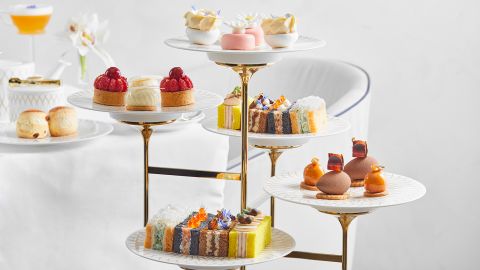 Afternoon Tea at Plato's