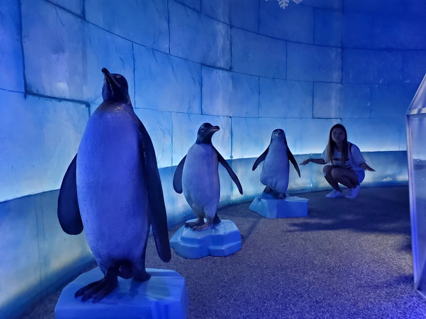SeaLife Bangkok