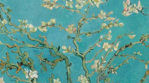 Van Gogh Museum: Guided Tour Day Tours