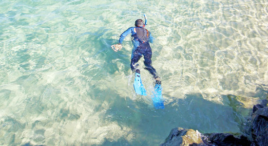 Gold Coast Snorkelling Tours