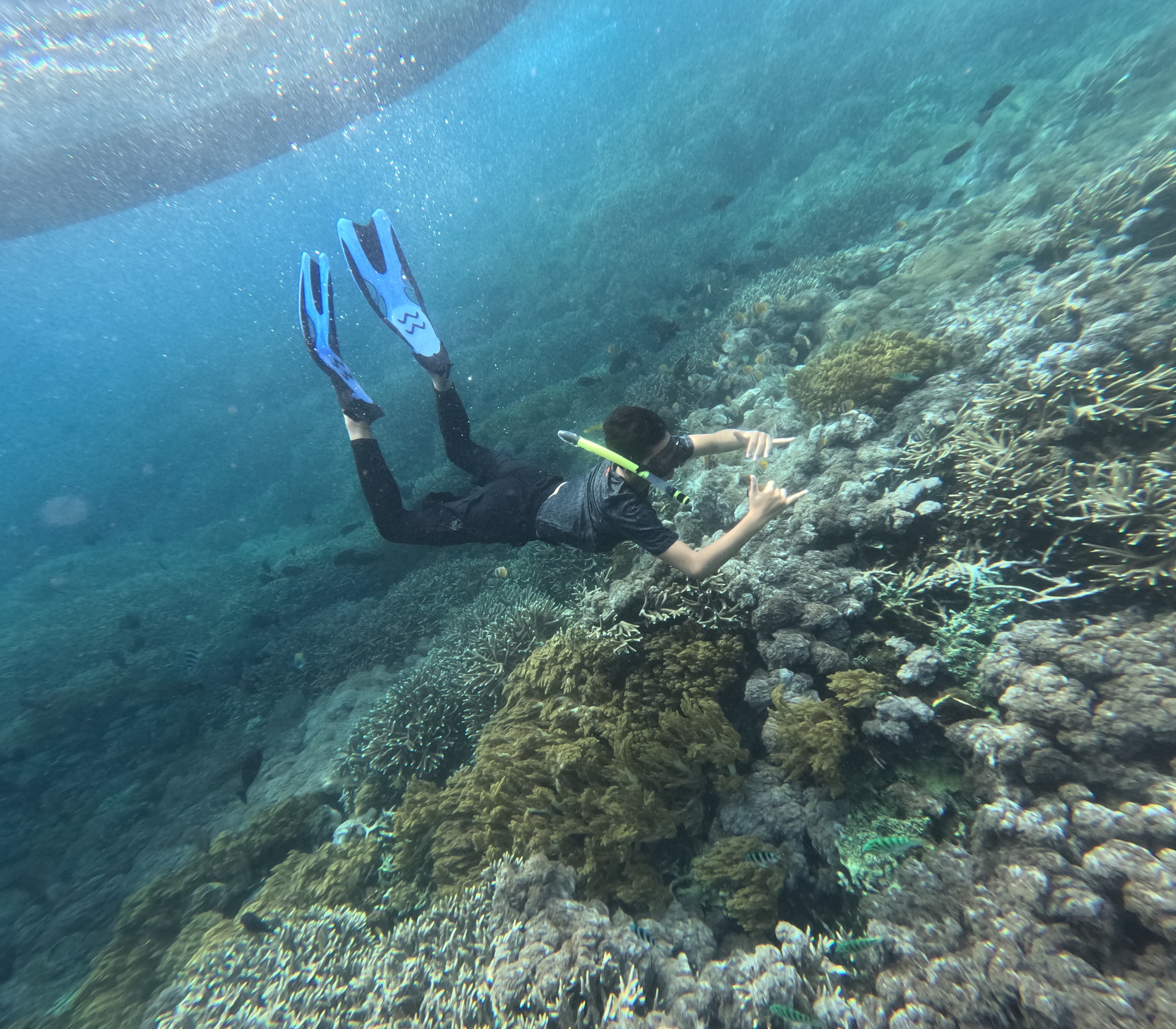 4 Point Snorkeling Safari