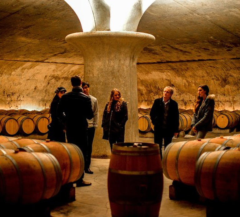 Bordeaux: St-Emilion and Medoc Wine Day Tour with Lunch