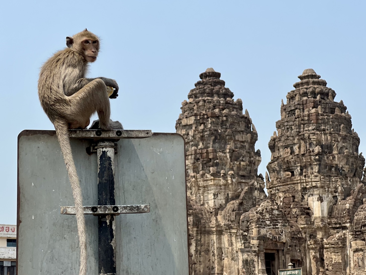 Unseen Lopburi: The Land of Monkey