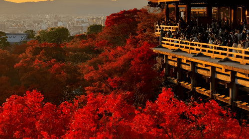 Kyoto + Nara Ancient Capitals Day Trip: 9-person group available with door-to-door service | Cute deer & Kiyomizu-dera Temple & Ninenzaka Day Tours