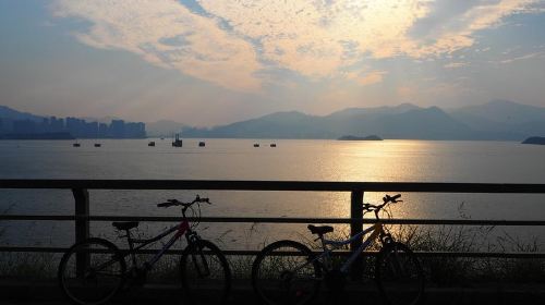 Family-Friendly Tolo Harbour Cycling Adventure