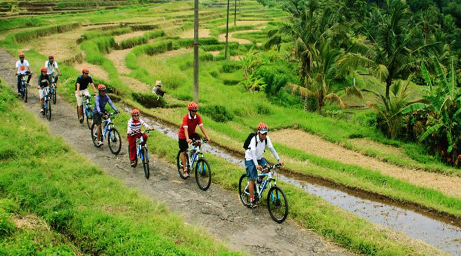 Mt. Batur Sunrise Jeep Experience & Cycling Tour by Bali Volcano Jeep