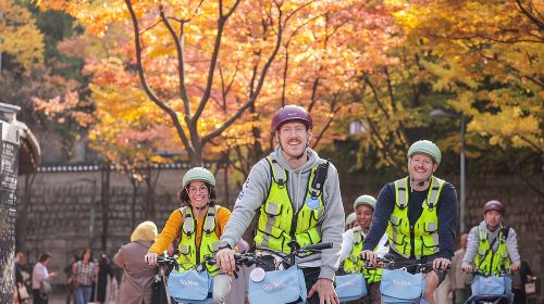 Seoul E-bike Tour Day Tours