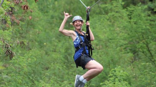Oahu: Coral Crater Zipline Tour Day Tours