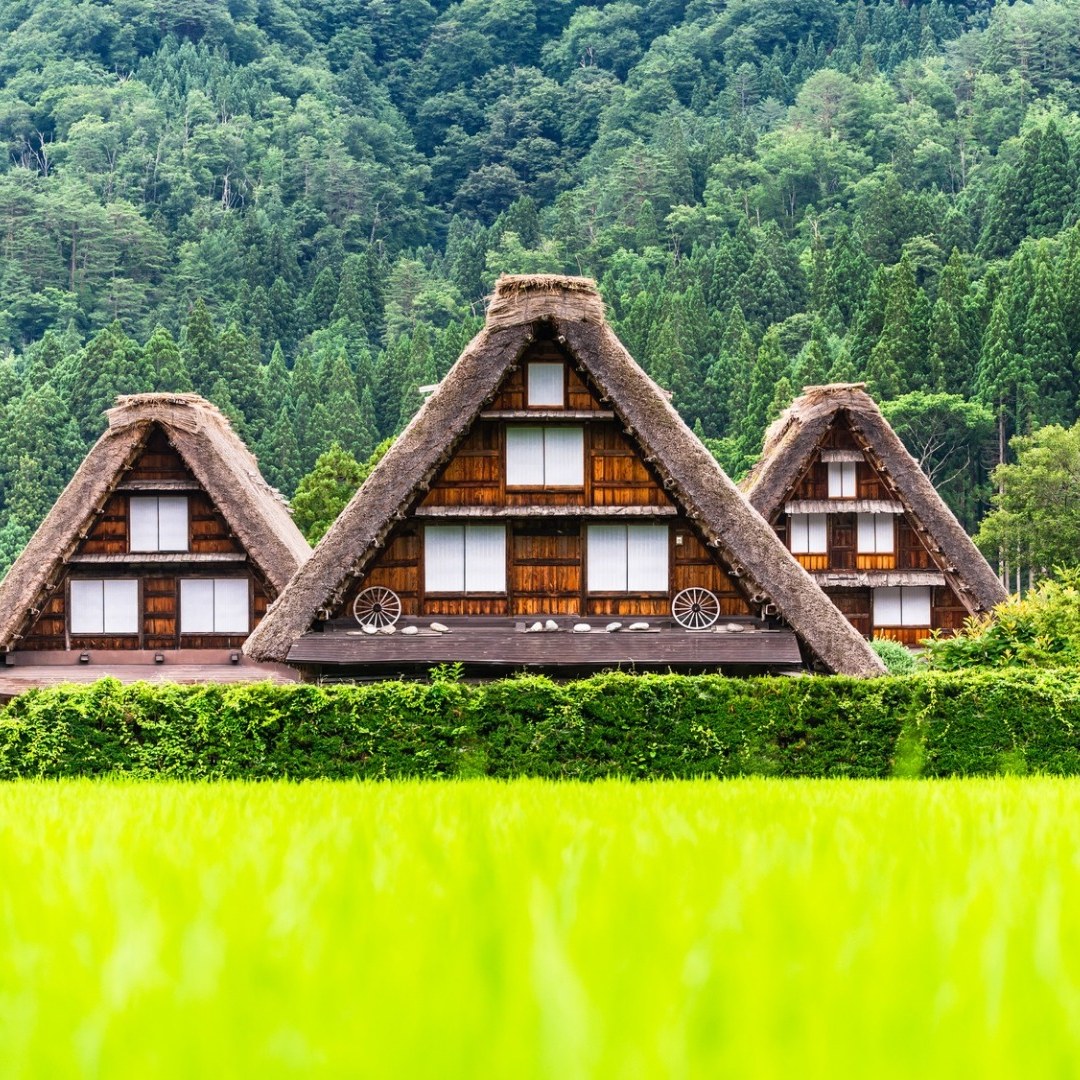 Shirakawa Day Tour from Nagoya: One-day tour of Shirakawa-go with Chinese, English and Japanese guide