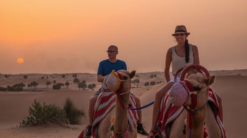 Dubai: Evening Camel Caravan, Bedouin Dinner at Al Marmoom Oasis Day Tours
