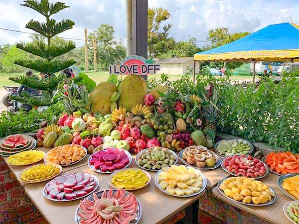 1 Day Desaru Fruit Farm