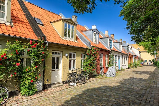 Introductory Walking Tour of Aarhus with a Local