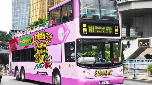 Hong Kong Cheung Chau Island + Central one-day tour Pure Play Exquisite Small Group Open Top bus tour+ Hong Kong Style afternoon tea Day Tours