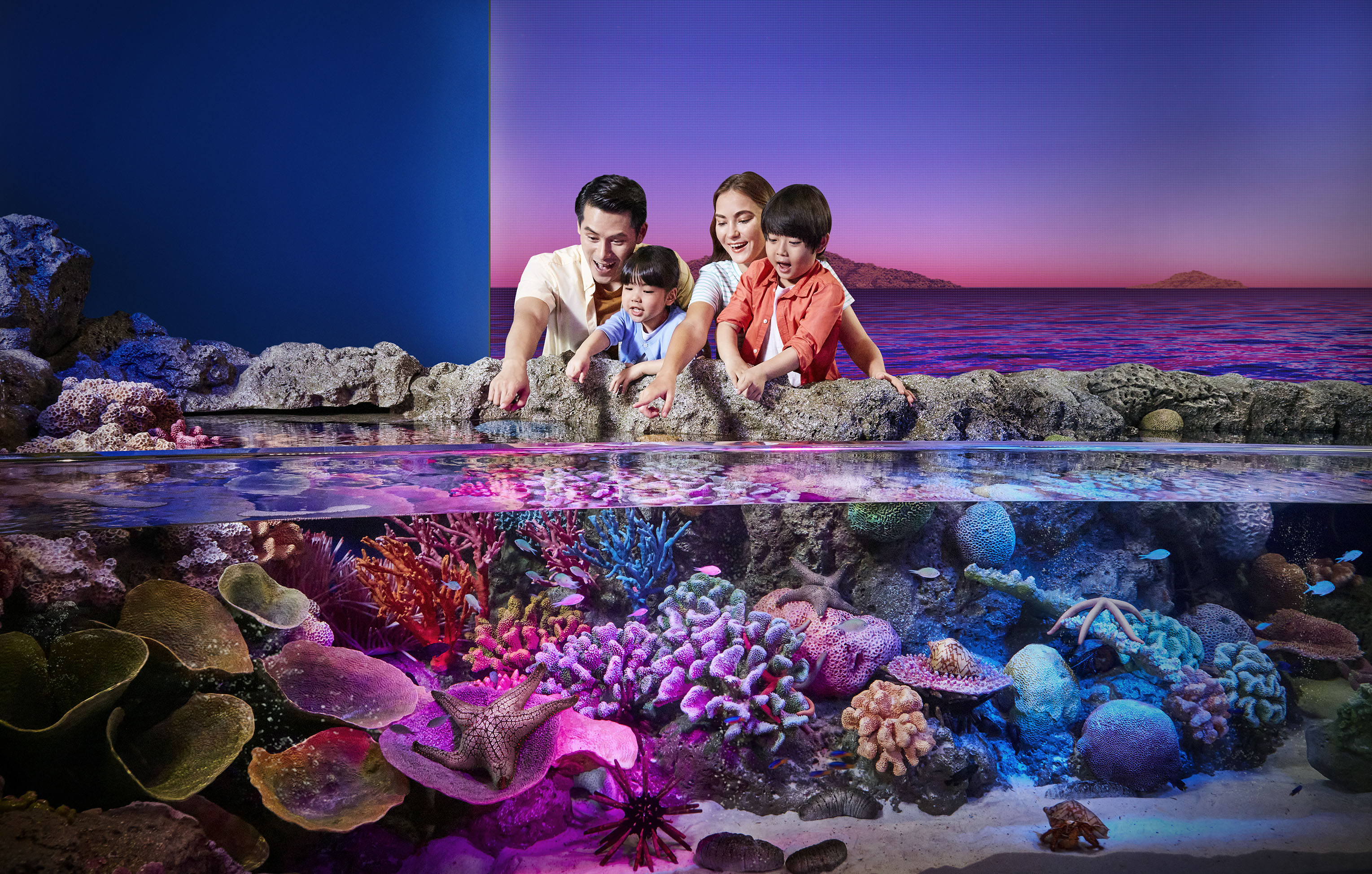 Sealife Bangkok + Madame Tussauds Bangkok Bundle