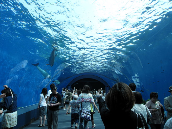 Yokohama Hakkeijima Sea Paradise