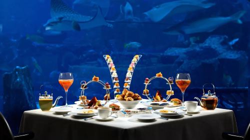 [Quick booking, same-day use] Atlantis Hotel Ossiano Undersea Restaurant + Undersea Aquarium + Seafood Feast + Visit Atlantis Hotel