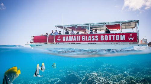 Waikiki Beach Glass Bottom Boat Tour Day Tours