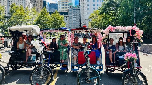 NYC Central Park guided Pedicab Tour - 2 hours Day Tours