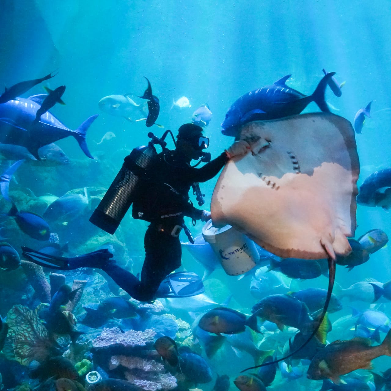 Sea World Ancol