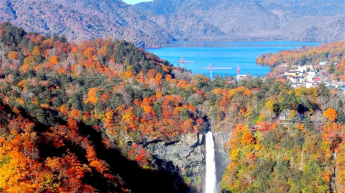 Nikko World Heritage Site, Toshogu Shrine, Lake Chuzenji, and Kegon Falls 1-day tour with Autumn Leaf Viewing Day Tours