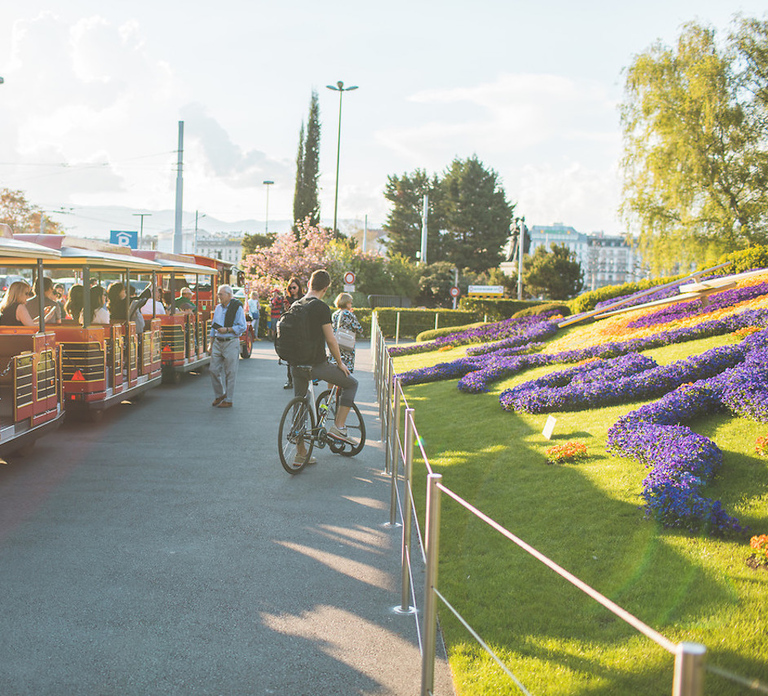 Geneva: City Pass with 60 Activities