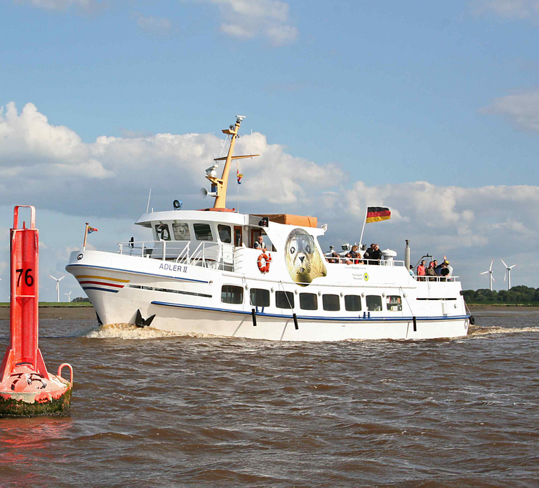 From Tönning: Boat trip to see the seals