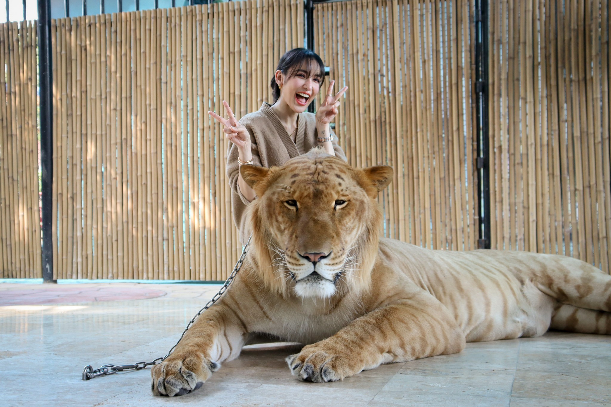Sriayuthaya Lion Park