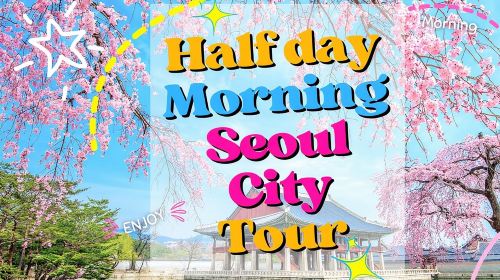Half day Morning Seoul City Tour Day Tours