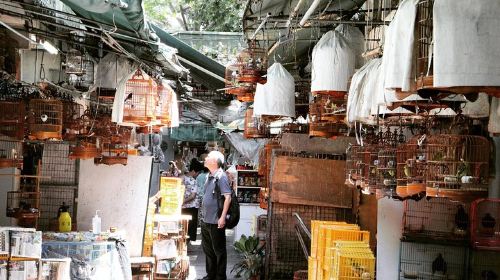 Small-Group Tour: Local Markets Hopping Tour in Hong Kong