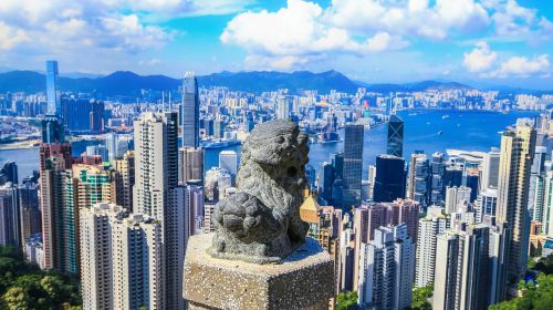 Zhongshan-Hong Kong cross-border transfer [Hong Kong Airport/Kowloon/Tsim Sha Tsui/Causeway Bay/West Kowloon/Tsuen Wan/Hong Kong Disneyland/Ocean Park and other car services] Transport Passes