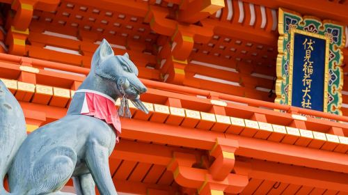 One-Way Bus: from Kanazawa to Kyoto Day Tours