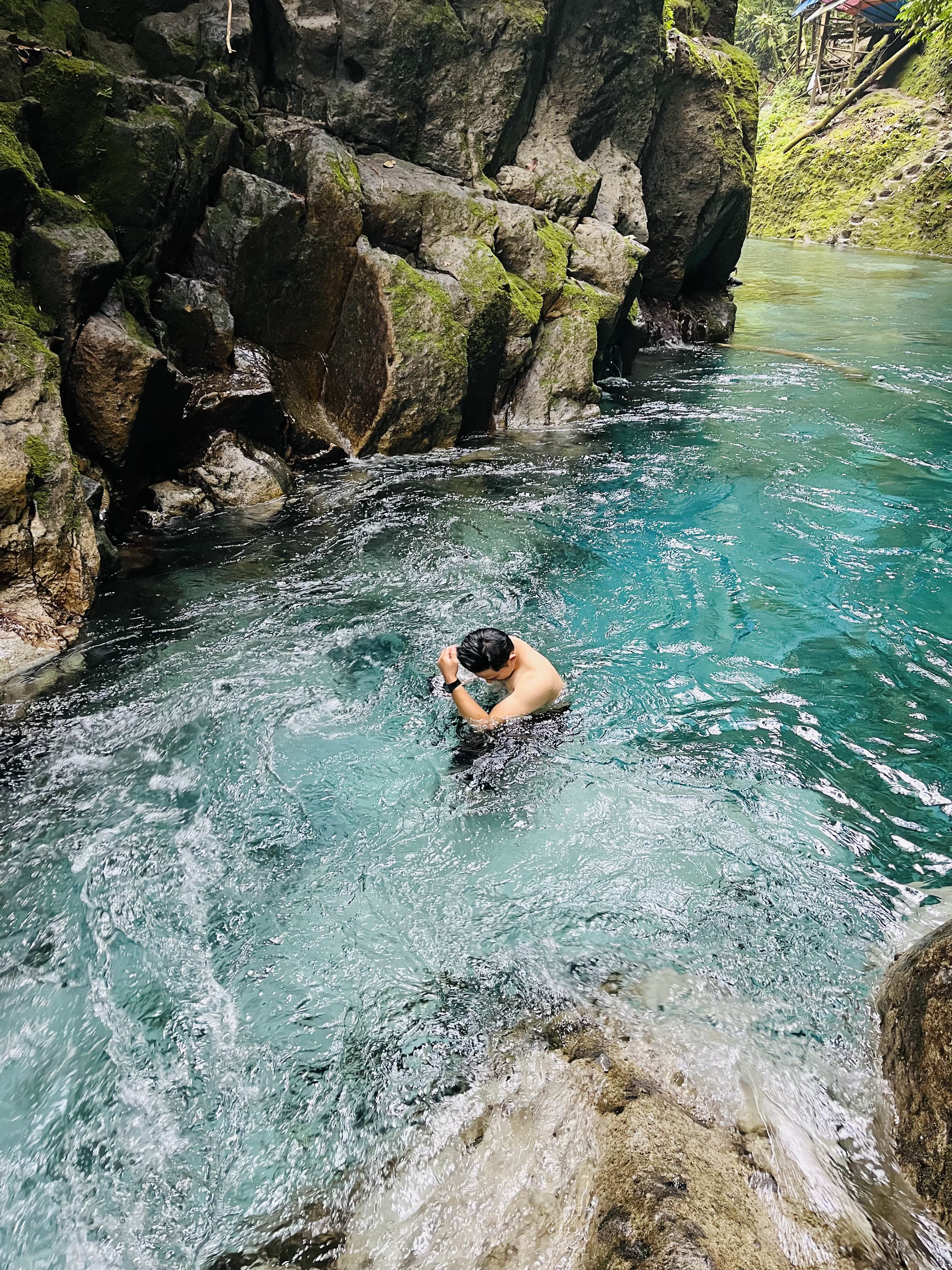 Tangkahan-Bukit Lawang 4D3N Exclusive Private Trip