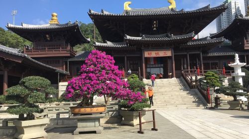 Private tour - Hong Kong's major sites and history