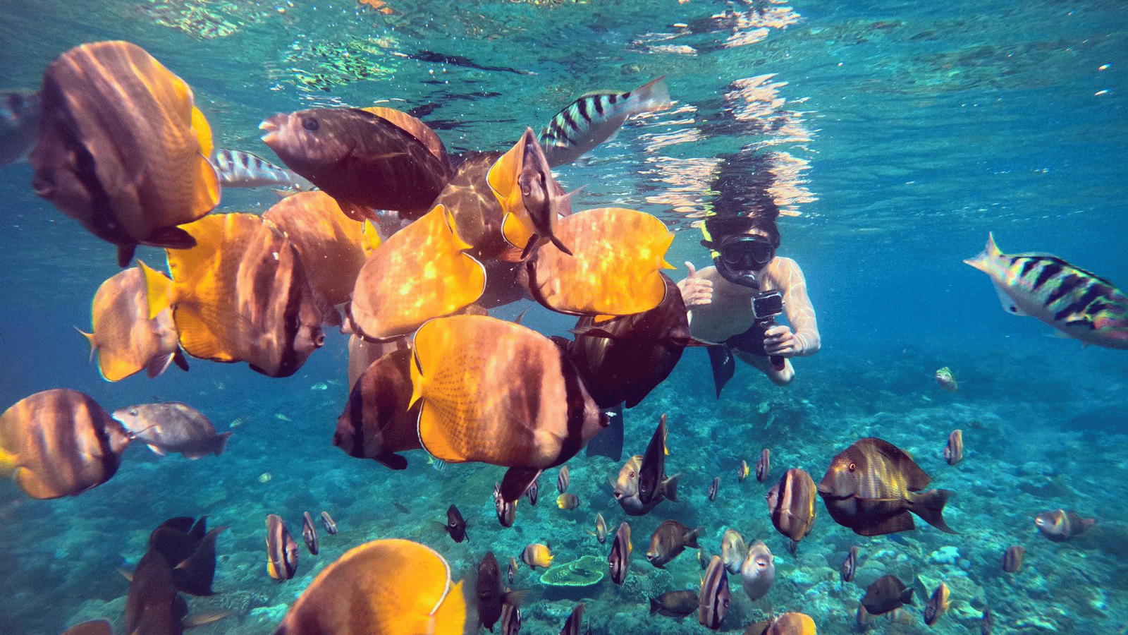 Snorkeling Tour in Nusa Penida (3 - 4 Snorkeling Spots)