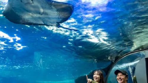 Enoshima Aquarium: Admission Ticket Day Tours