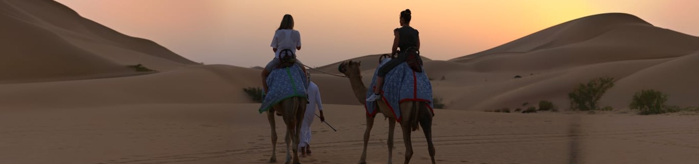 Morning Safari